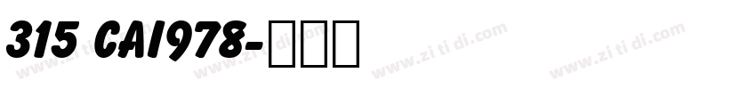 315 CAI978字体转换